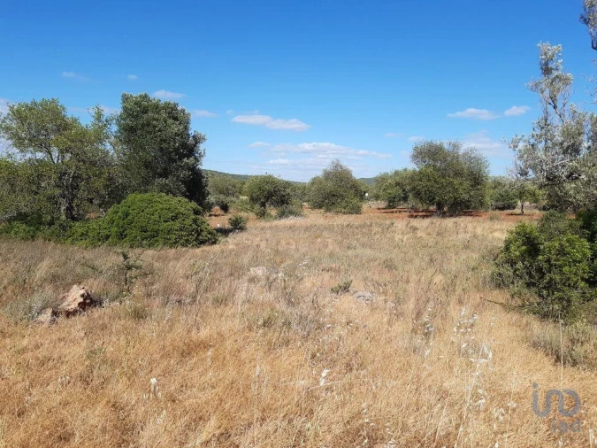 Terreno para Venda em Alte Foto 6