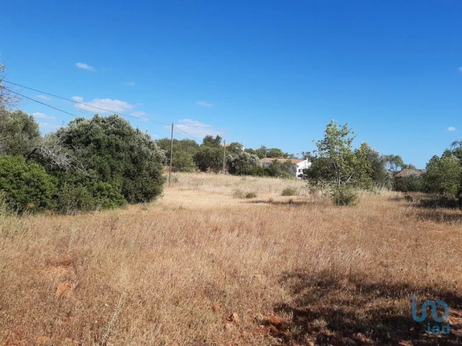 Terreno para Venda em Alte Foto 7