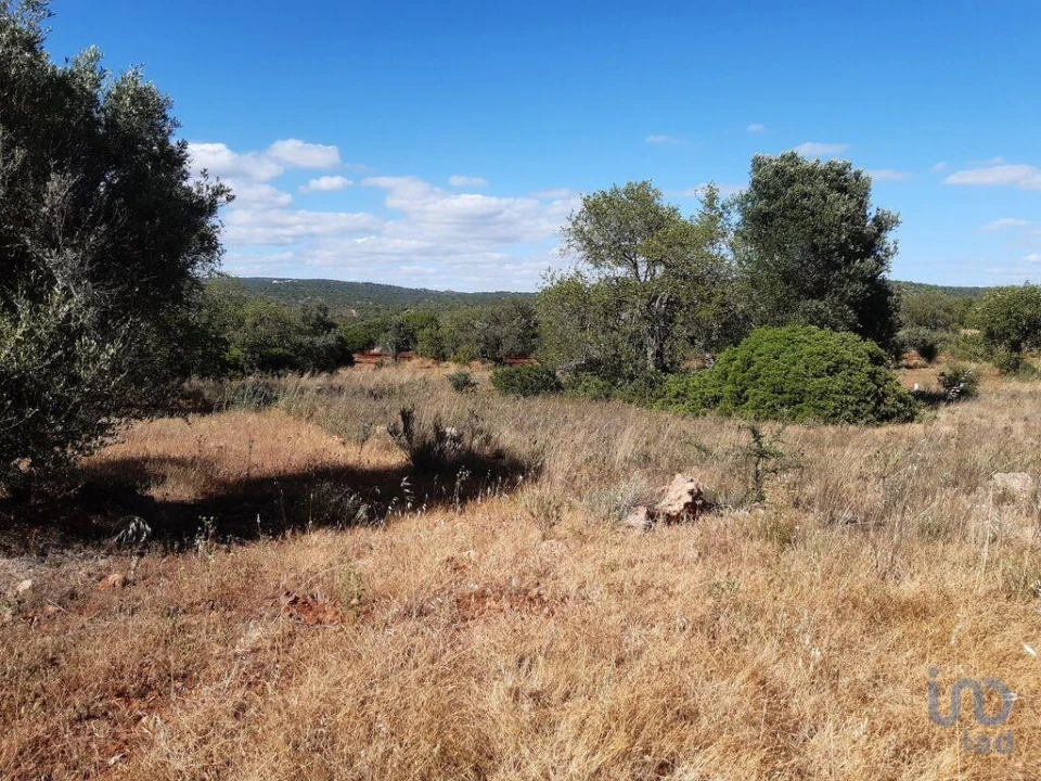 Terreno para Venda em Alte Foto 5