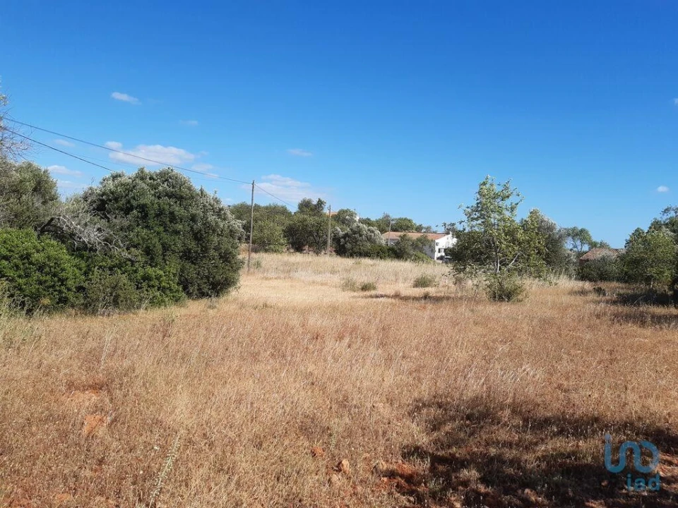 Terreno para Venda em Alte Foto 7