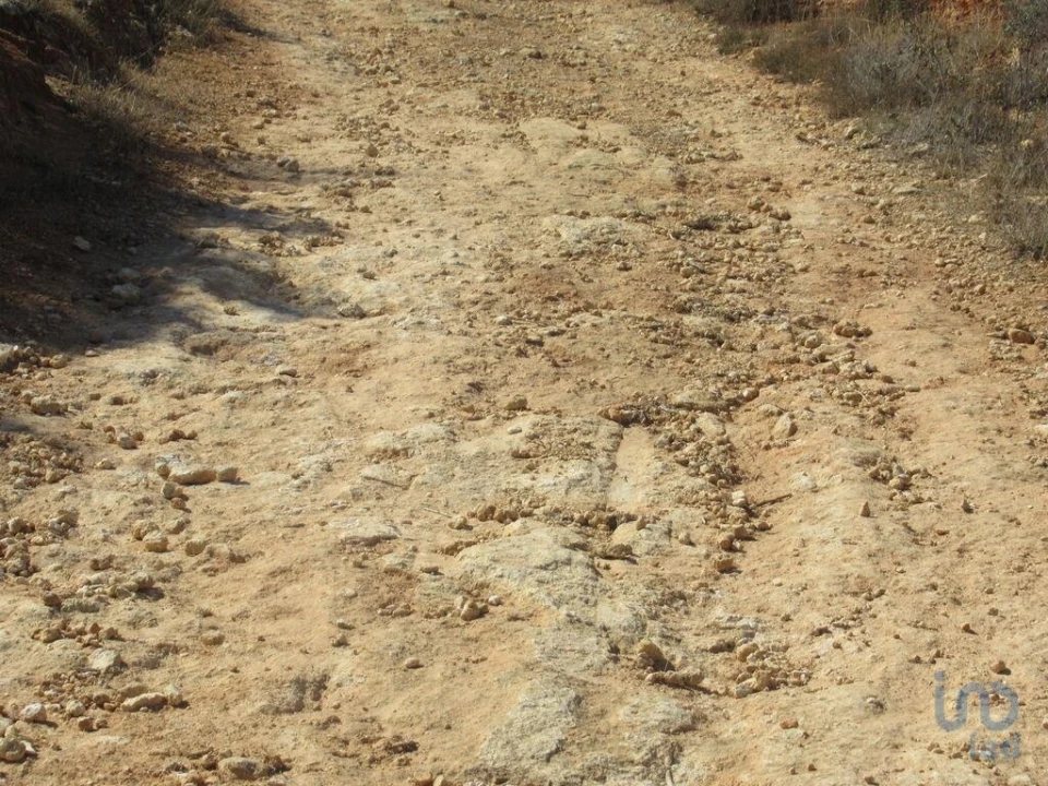 Terreno para Venda em Armação de Pera Foto 4