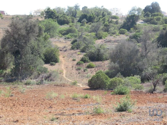 Terreno para Venda em Armação de Pera Foto 3