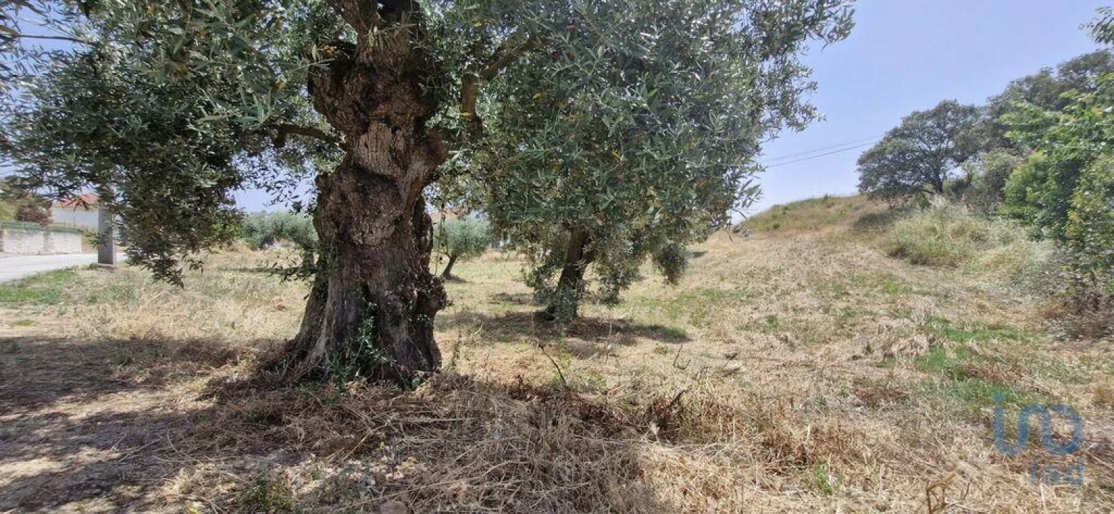Terreno para Venda em Azambujeira e Malaqueijo Foto 11
