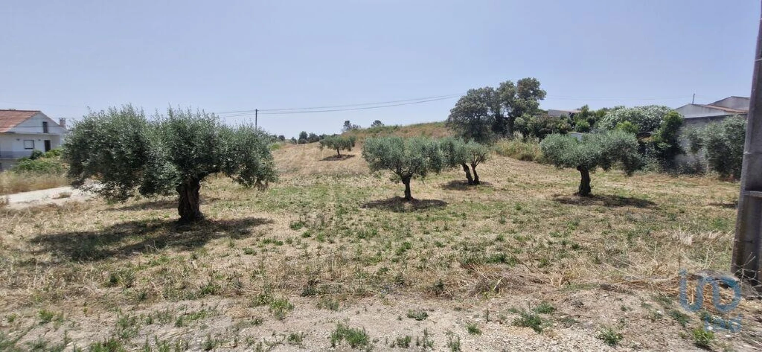 Terreno para Venda em Azambujeira e Malaqueijo Foto 8