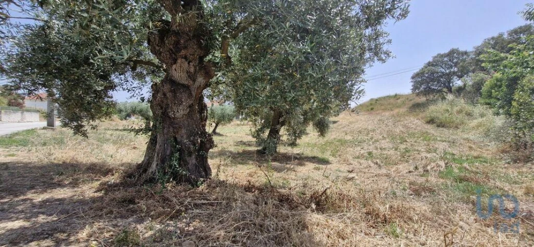 Terreno para Venda em Azambujeira e Malaqueijo Foto 11