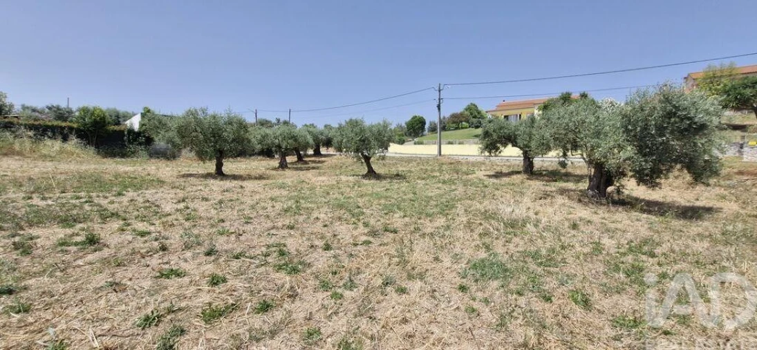 Terreno para Venda em Azambujeira e Malaqueijo Foto 24
