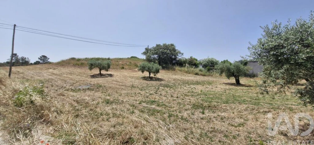 Terreno para Venda em Azambujeira e Malaqueijo Foto 26