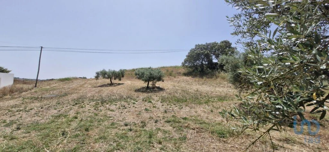 Terreno para Venda em Azambujeira e Malaqueijo Foto 14