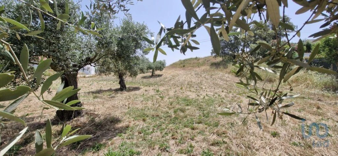 Terreno para Venda em Azambujeira e Malaqueijo Foto 13