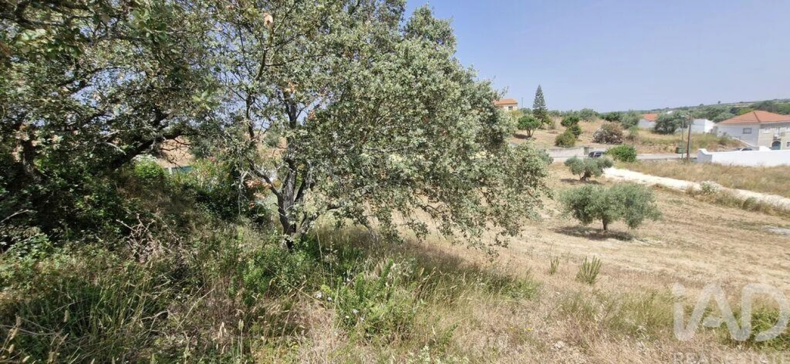 Terreno para Venda em Azambujeira e Malaqueijo Foto 20