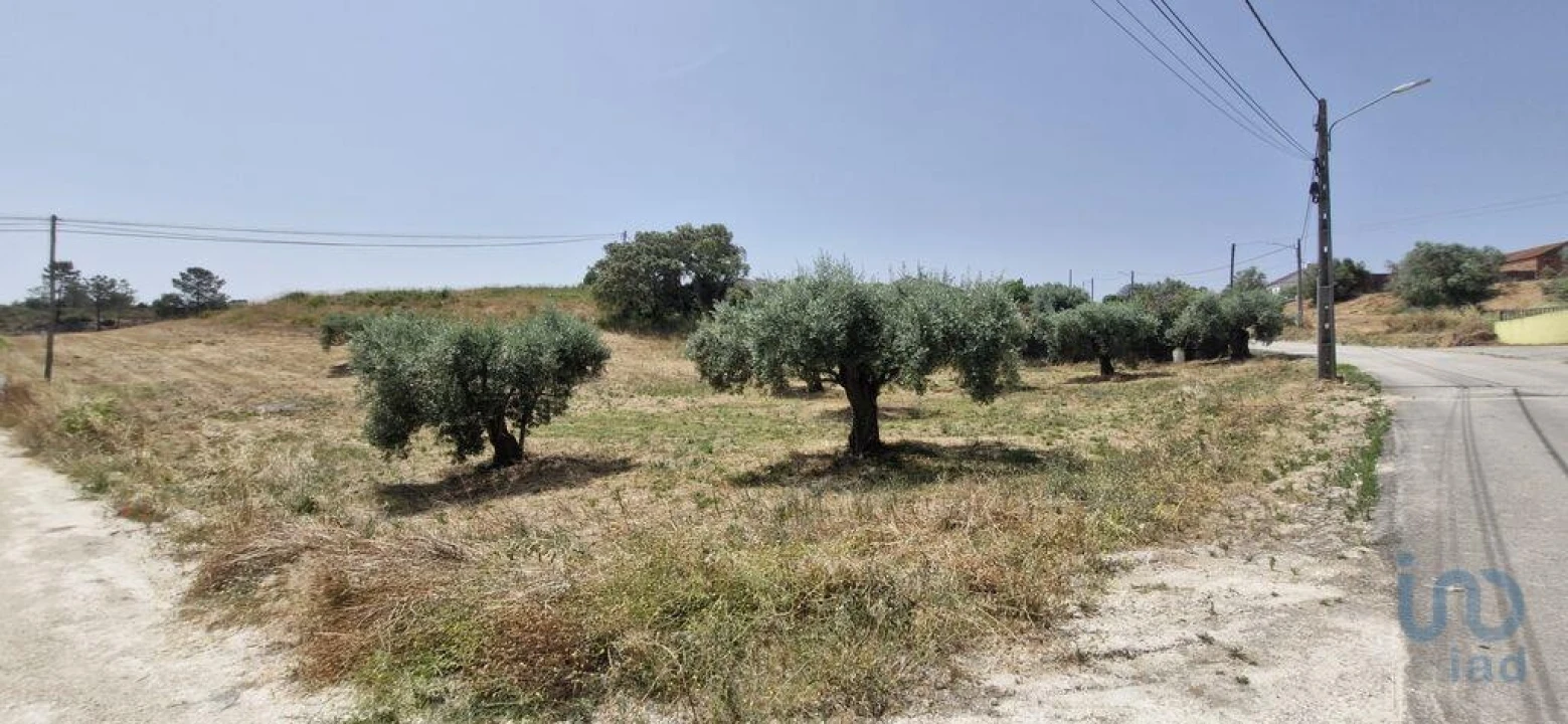 Terreno para Venda em Azambujeira e Malaqueijo Foto 7