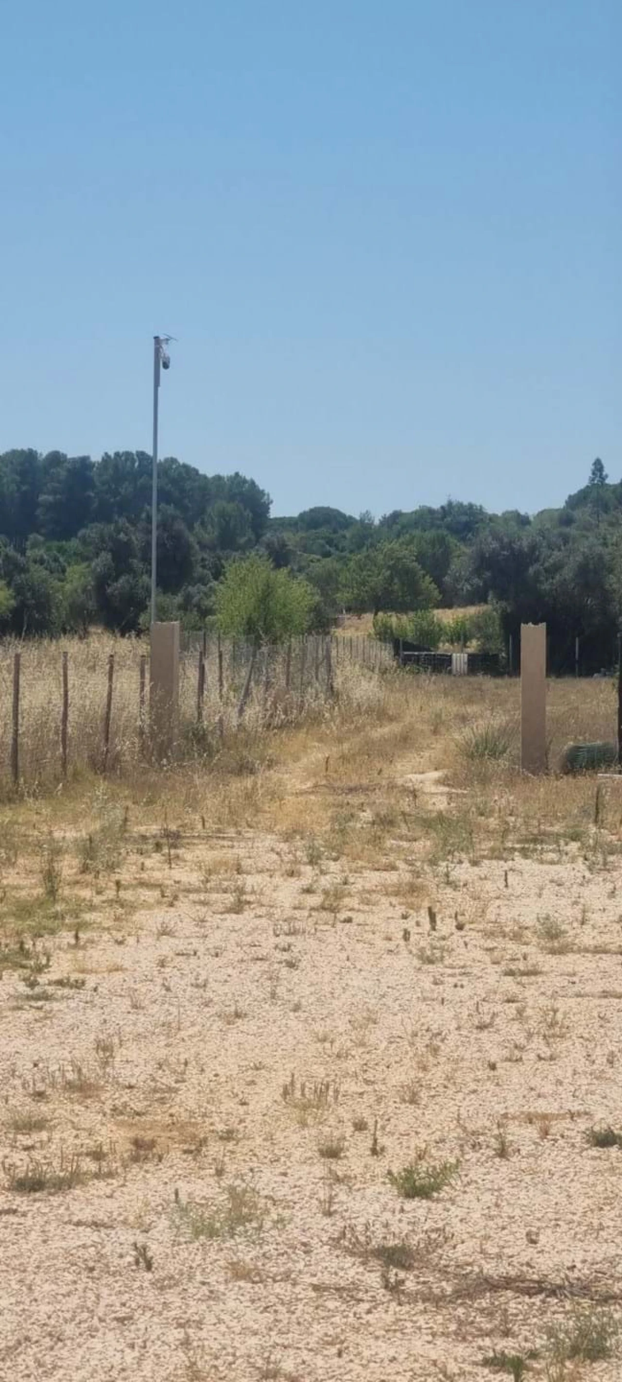 Terreno para Venda em Porches Foto 2