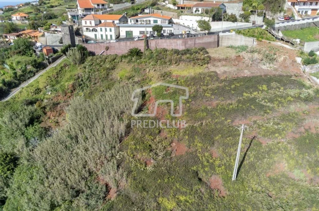 Terreno Agricola ou Rústico para Venda em Gaula Foto 6