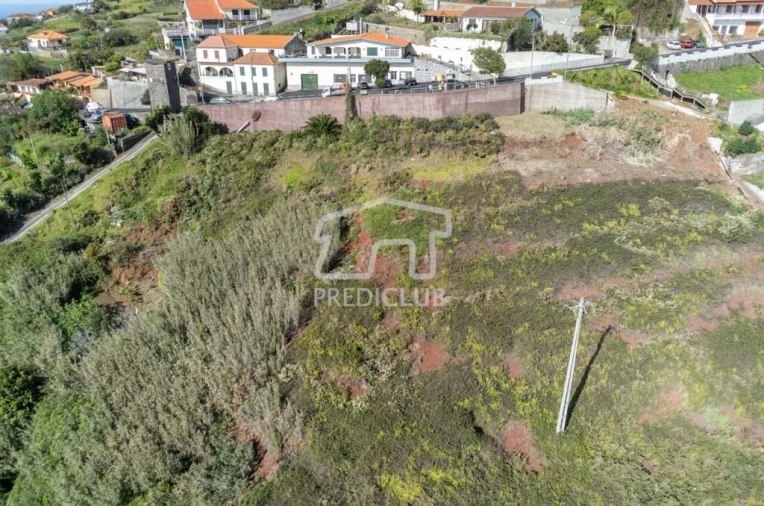 Terreno Agricola ou Rústico para Venda em Gaula Foto 6