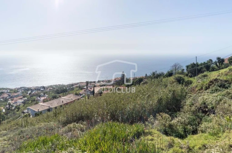 Terreno Agricola ou Rústico para Venda em Gaula Foto 4