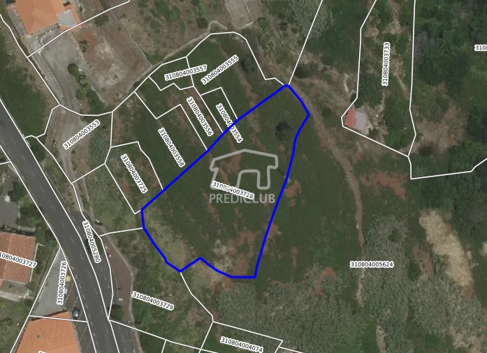 Terreno Agricola ou Rústico para Venda em Gaula Foto 5