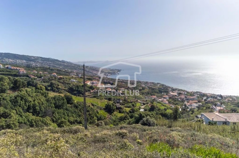 Terreno Agricola ou Rústico para Venda em Gaula Foto 2