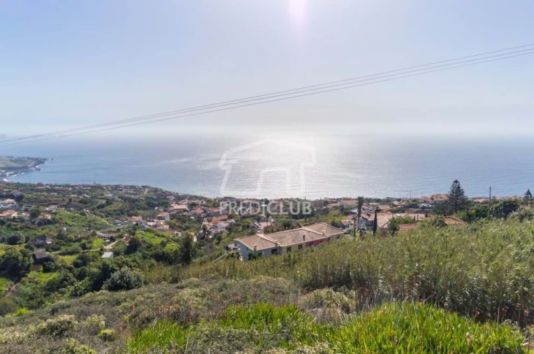 Terreno Agricola ou Rústico para Venda em Gaula Foto 3