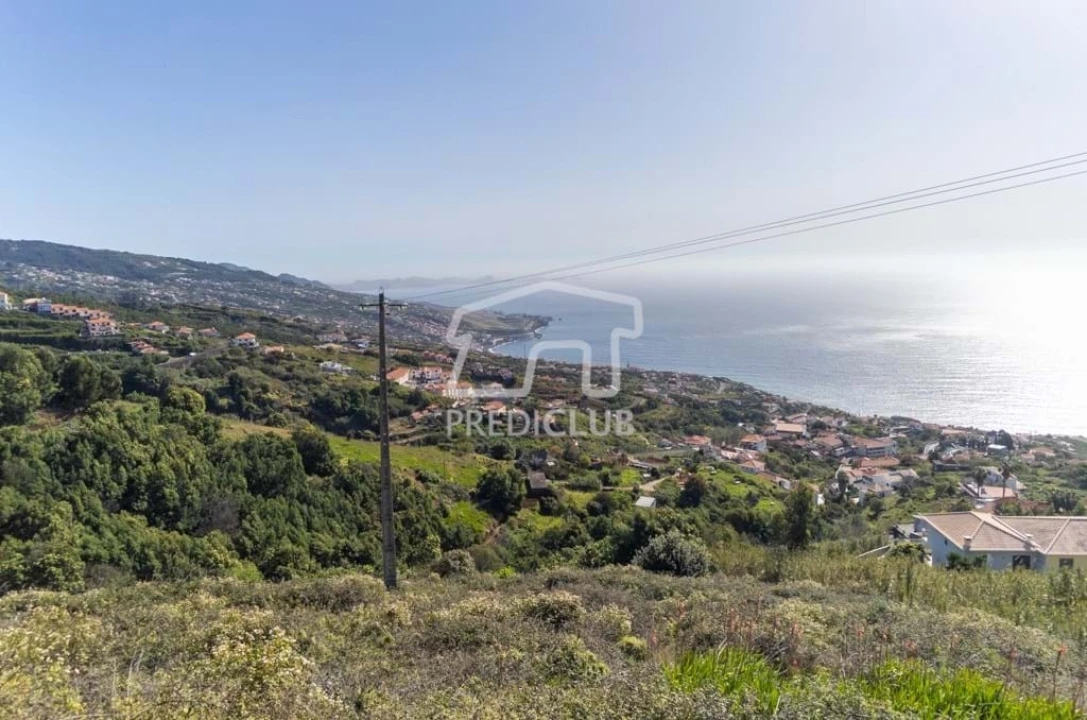 Terreno Agricola ou Rústico para Venda em Gaula Foto 2