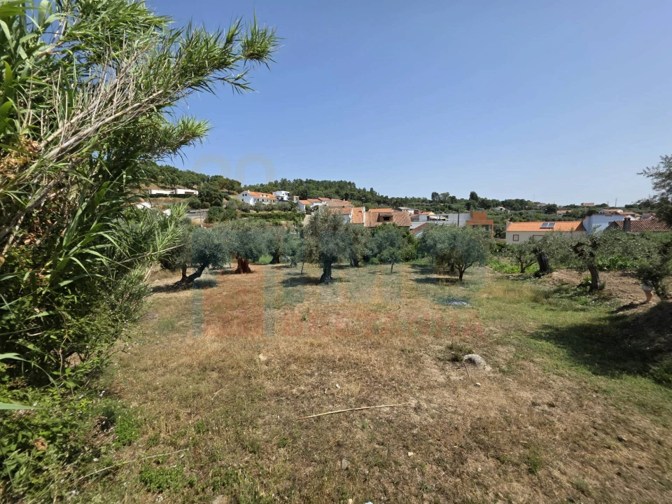 Terreno para Venda em Telhado Foto 5