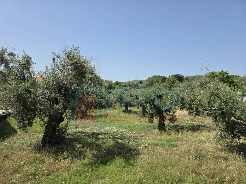 Terreno para Venda em Telhado Foto 12