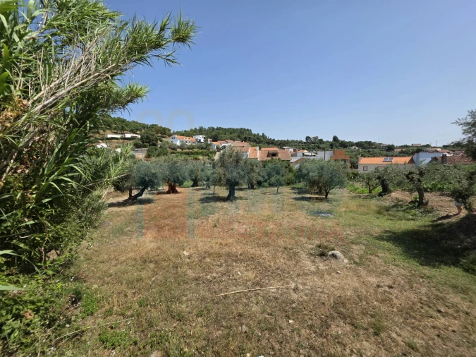 Terreno para Venda em Telhado Foto 5