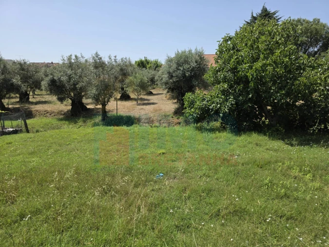 Terreno para Venda em Telhado Foto 11