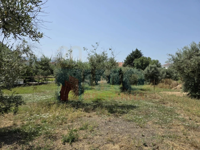 Terreno para Venda em Telhado Foto 6