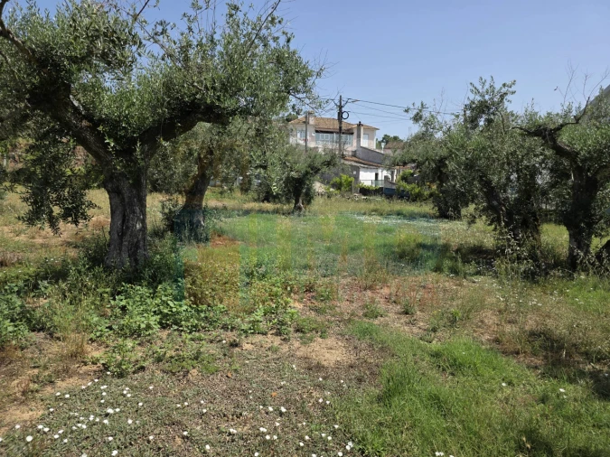 Terreno para Venda em Telhado Foto 3