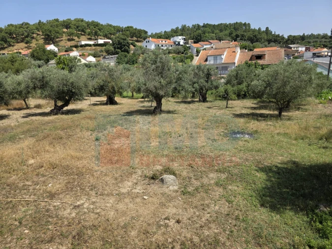 Terreno para Venda em Telhado Foto 13