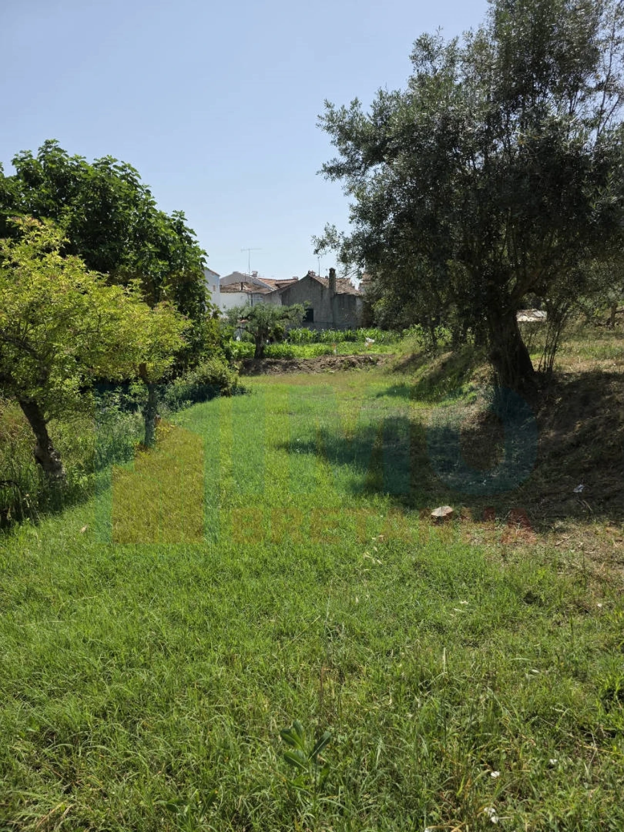 Terreno para Venda em Telhado Foto 7