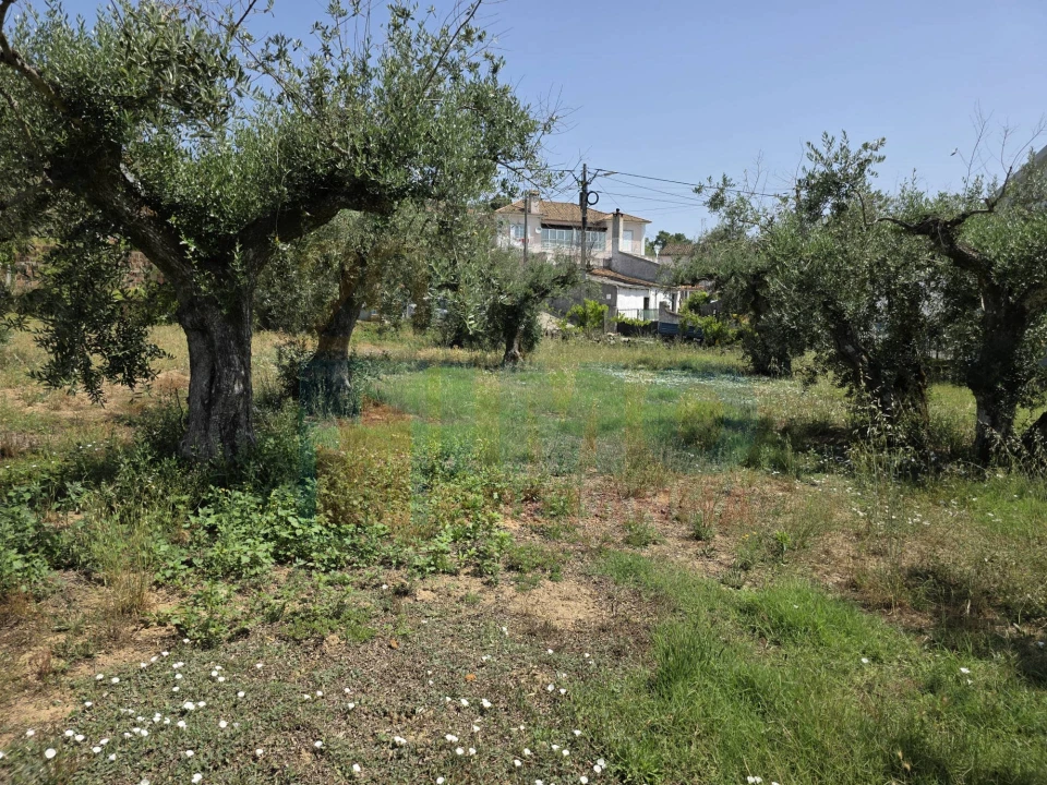 Terreno para Venda em Telhado Foto 3