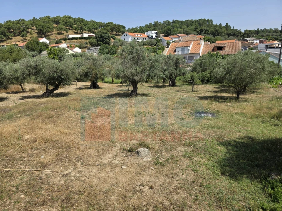 Terreno para Venda em Telhado Foto 13