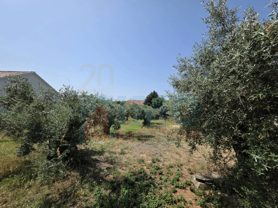 Terreno para Venda em Telhado Foto 10