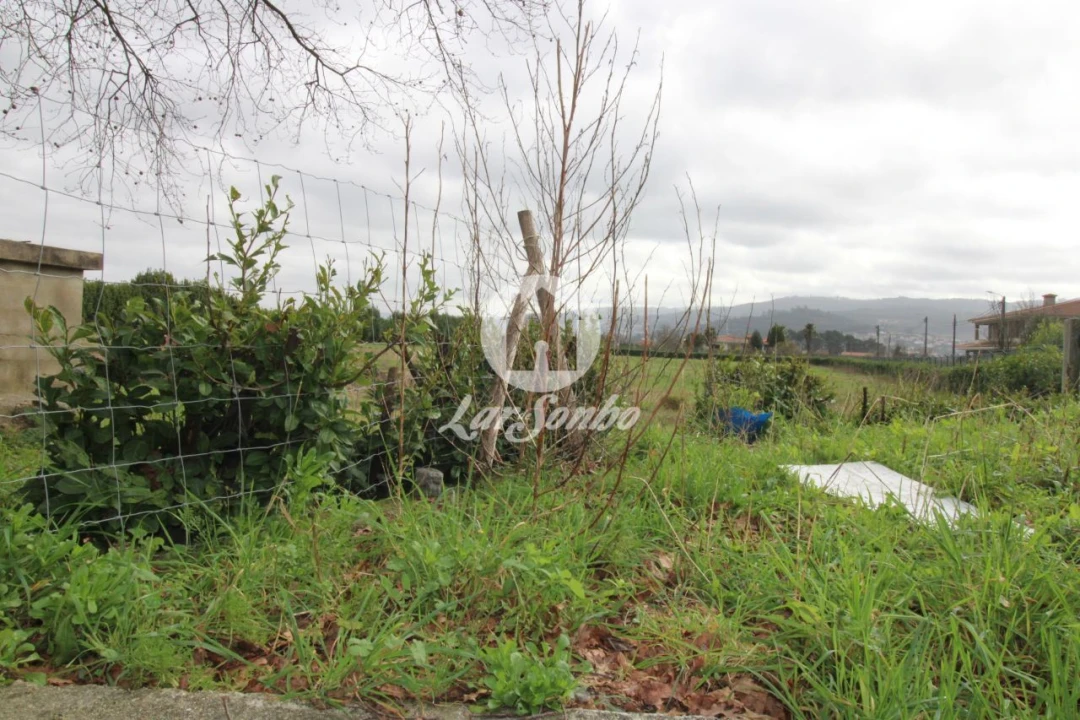 Terreno Agricola ou Rústico para Venda em Areias, Sequeirô, Lama e Palmeira Foto 1