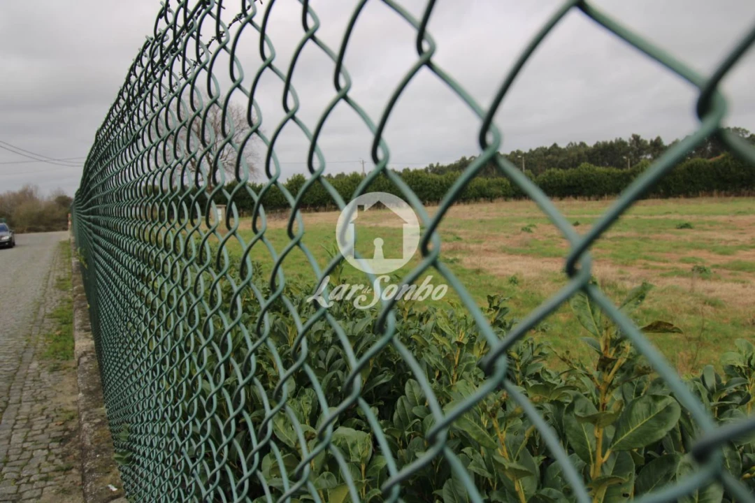 Terreno Agricola ou Rústico para Venda em Areias, Sequeirô, Lama e Palmeira Foto 4