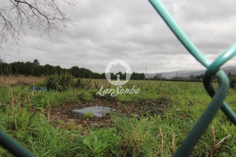 Terreno Agricola ou Rústico para Venda em Areias, Sequeirô, Lama e Palmeira Foto 2