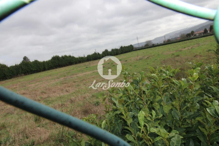Terreno Agricola ou Rústico para Venda em Areias, Sequeirô, Lama e Palmeira Foto 3