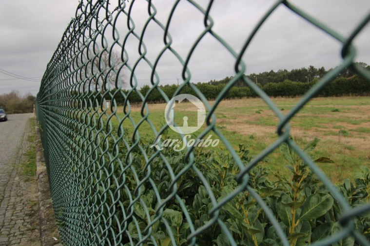 Terreno Agricola ou Rústico para Venda em Areias, Sequeirô, Lama e Palmeira Foto 4