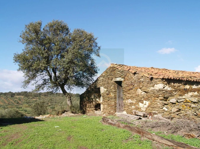 Terreno para Venda em Monfortinho e Salvaterra do Extremo