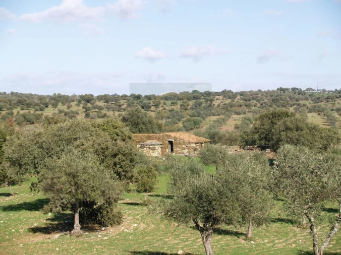 Terreno para Venda em Monfortinho e Salvaterra do Extremo Foto 14