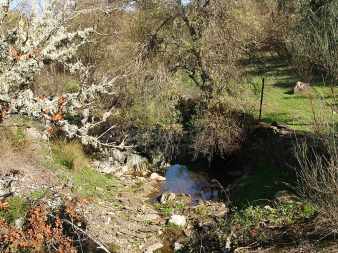 Terreno para Venda em Monfortinho e Salvaterra do Extremo Foto 4