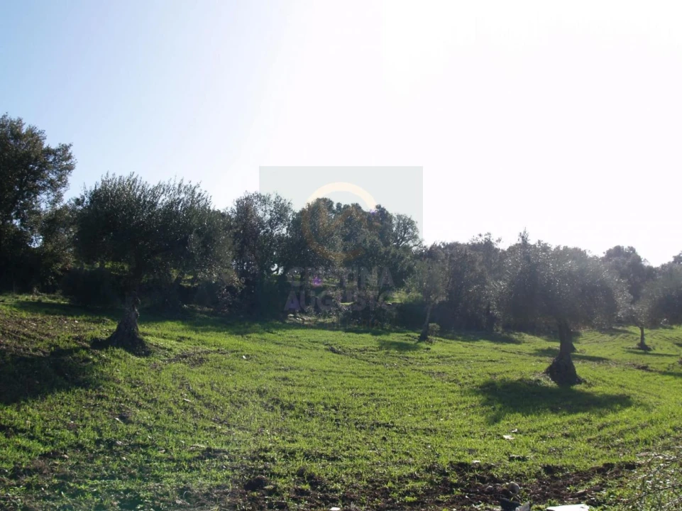 Terreno para Venda em Monfortinho e Salvaterra do Extremo Foto 20