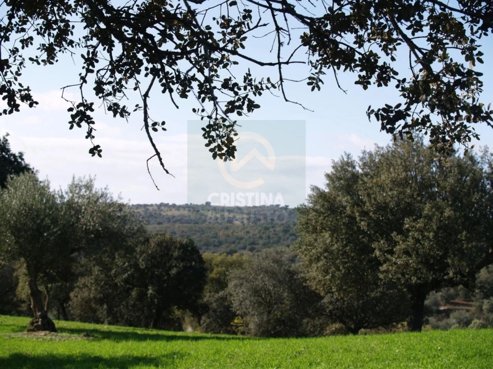 Terreno para Venda em Monfortinho e Salvaterra do Extremo Foto 17
