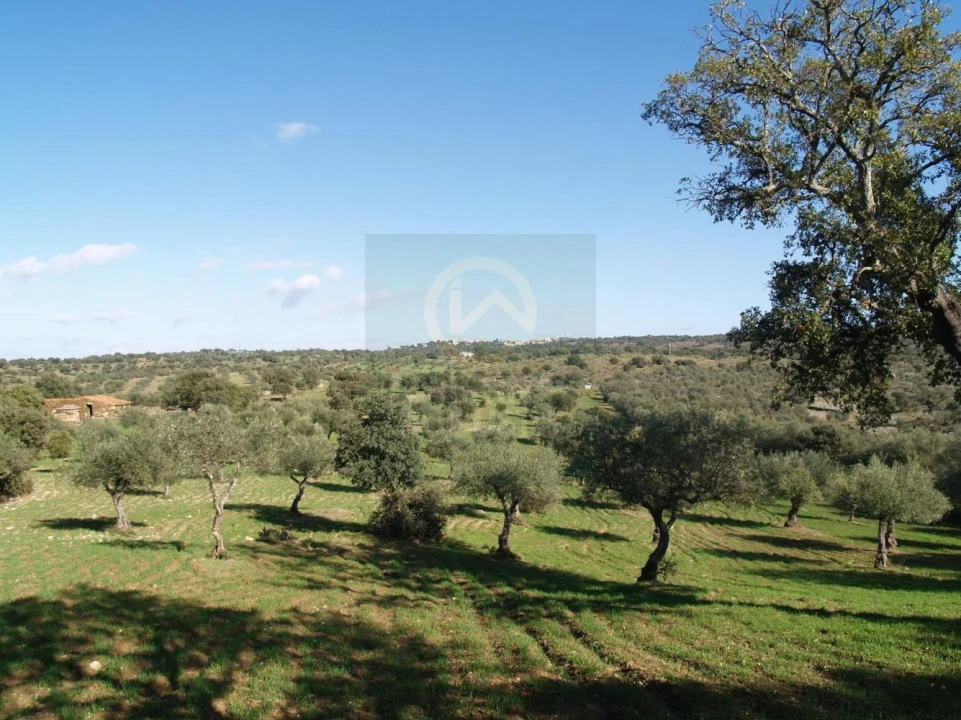 Terreno para Venda em Monfortinho e Salvaterra do Extremo Foto 12