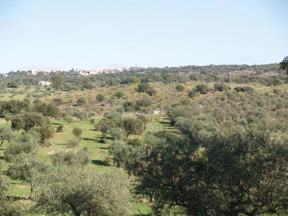 Terreno para Venda em Monfortinho e Salvaterra do Extremo Foto 7