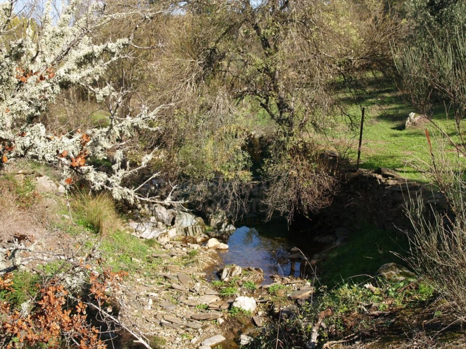 Terreno para Venda em Monfortinho e Salvaterra do Extremo Foto 4