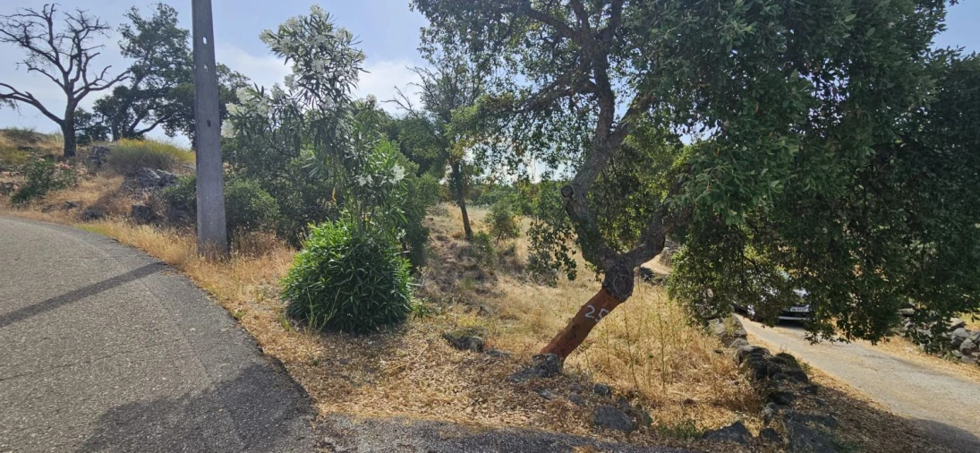 Terreno para Venda em Monfortinho e Salvaterra do Extremo Foto 3