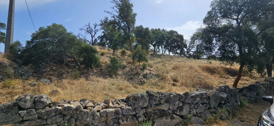 Terreno para Venda em Monfortinho e Salvaterra do Extremo
