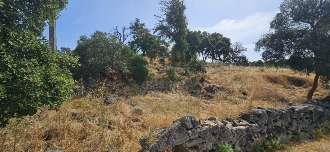 Terreno para Venda em Monfortinho e Salvaterra do Extremo Foto 2